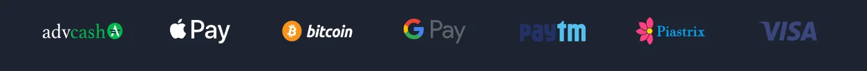 Grizzly Casino payment methods